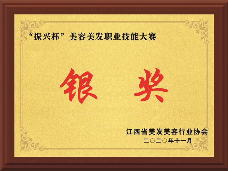 振兴杯美容美发职业技能赛银奖