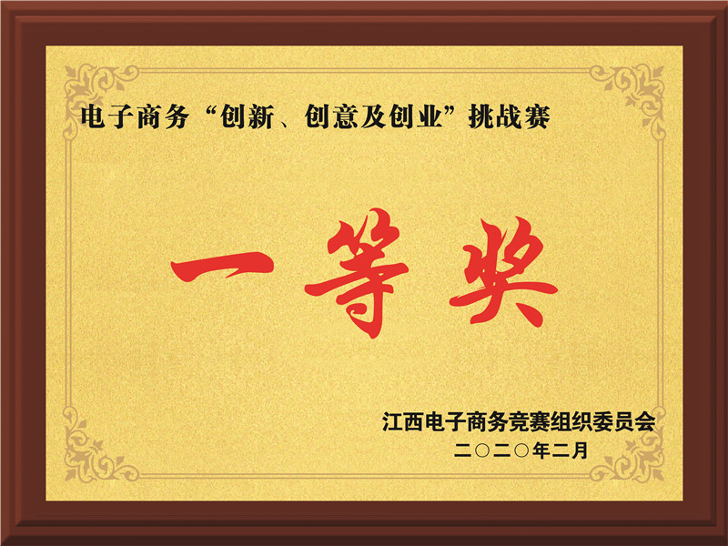 电子商务挑战赛一等奖