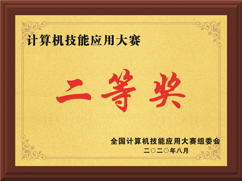 计算机技能应用大赛二等奖
