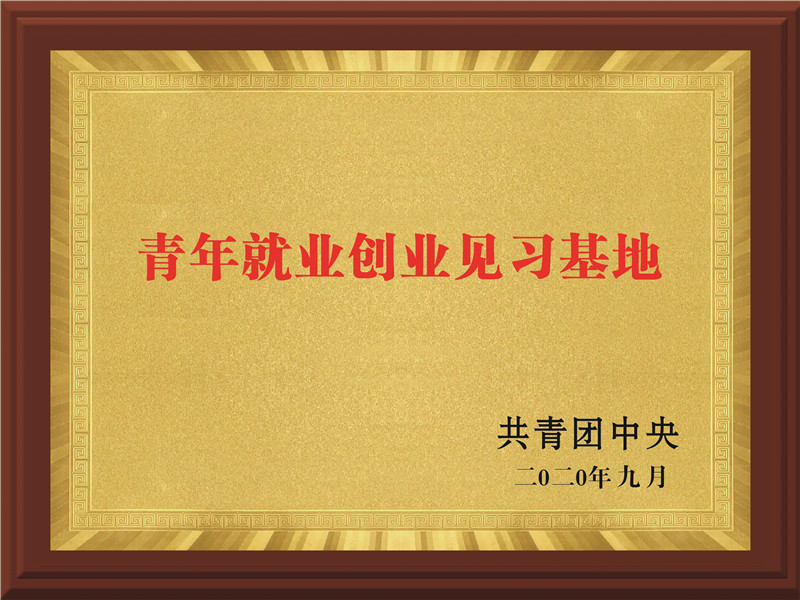 青年就业创业见习基地