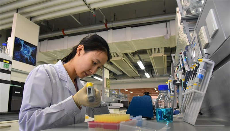 技工教育“十四五”规划